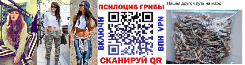 Галлюциногенные грибы Psilocybine cubensis  цены наркотик  Домодедово 